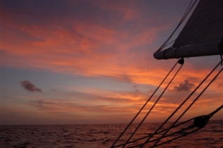  Emociones de navegación 